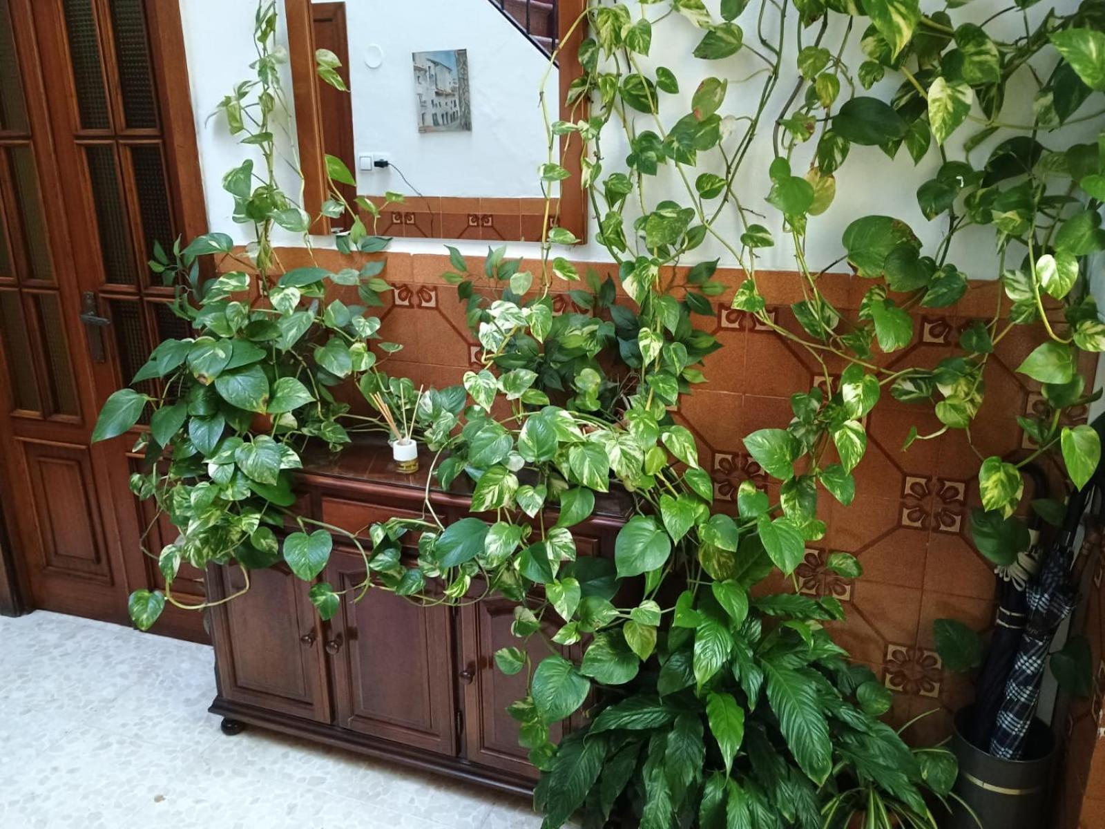 코르도바 Casa Matbel 아파트 외부 사진